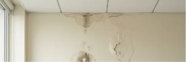 Filtración en terraza o cubierta